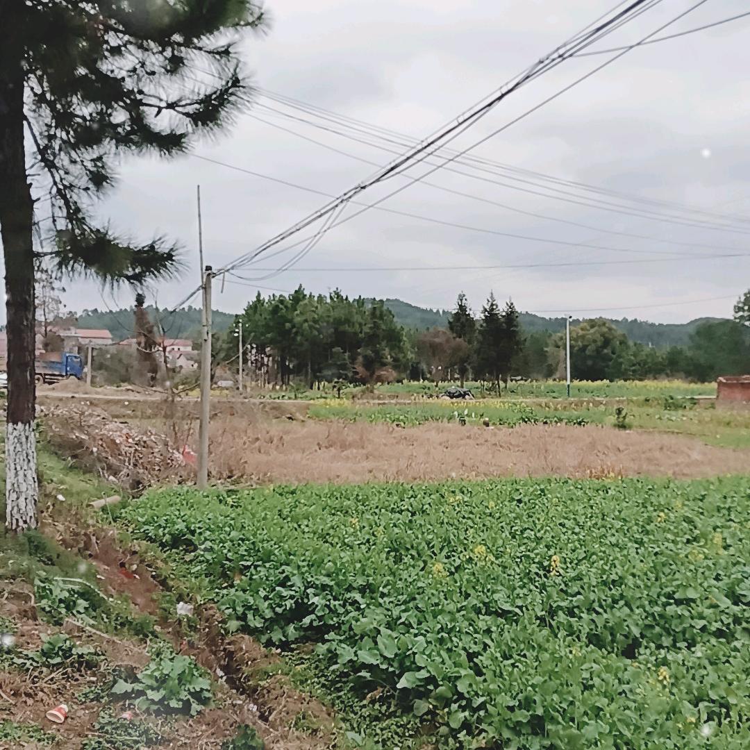 𝑬𝒍𝒊𝒂𝒖𝒌 .