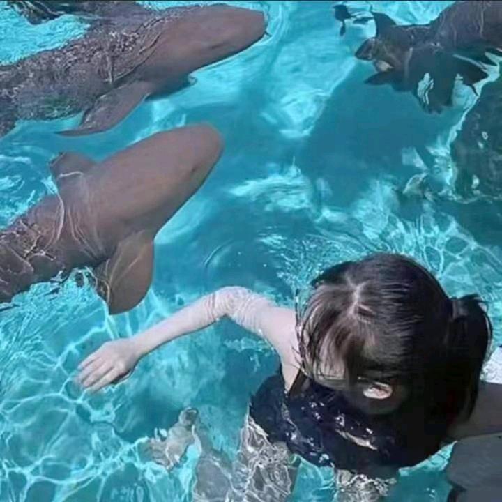 🕷️.