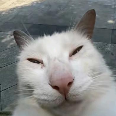 曦隅