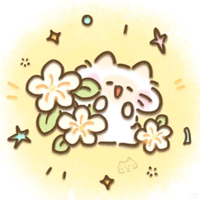 小花花不敖夜