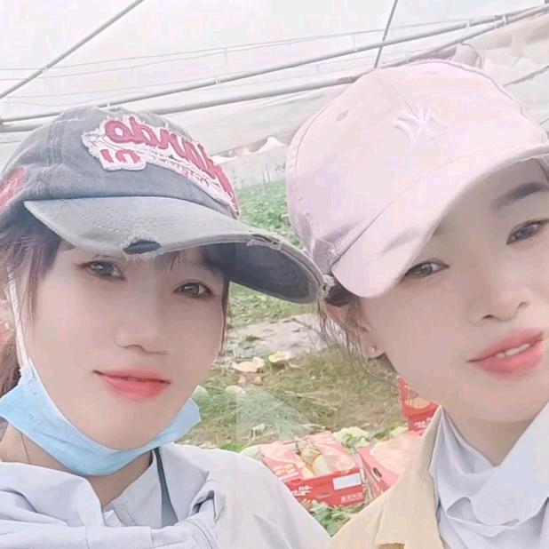 (杜艳专业吊苗团队！）