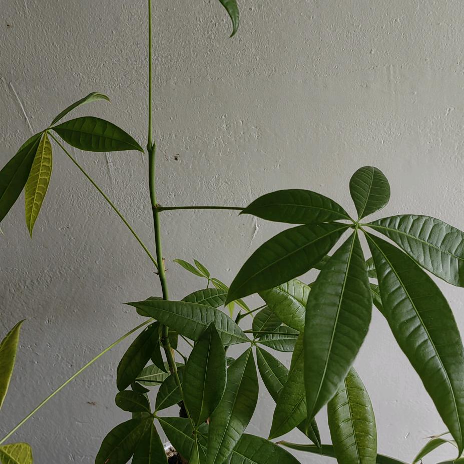 一切随缘🌹👍