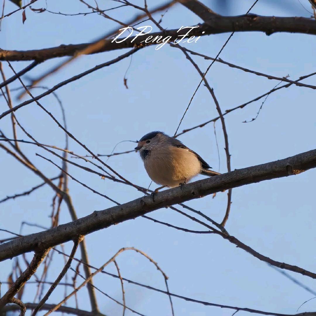 一定要坚强起来