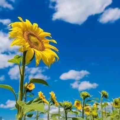 贵州      ☞小师妹☜