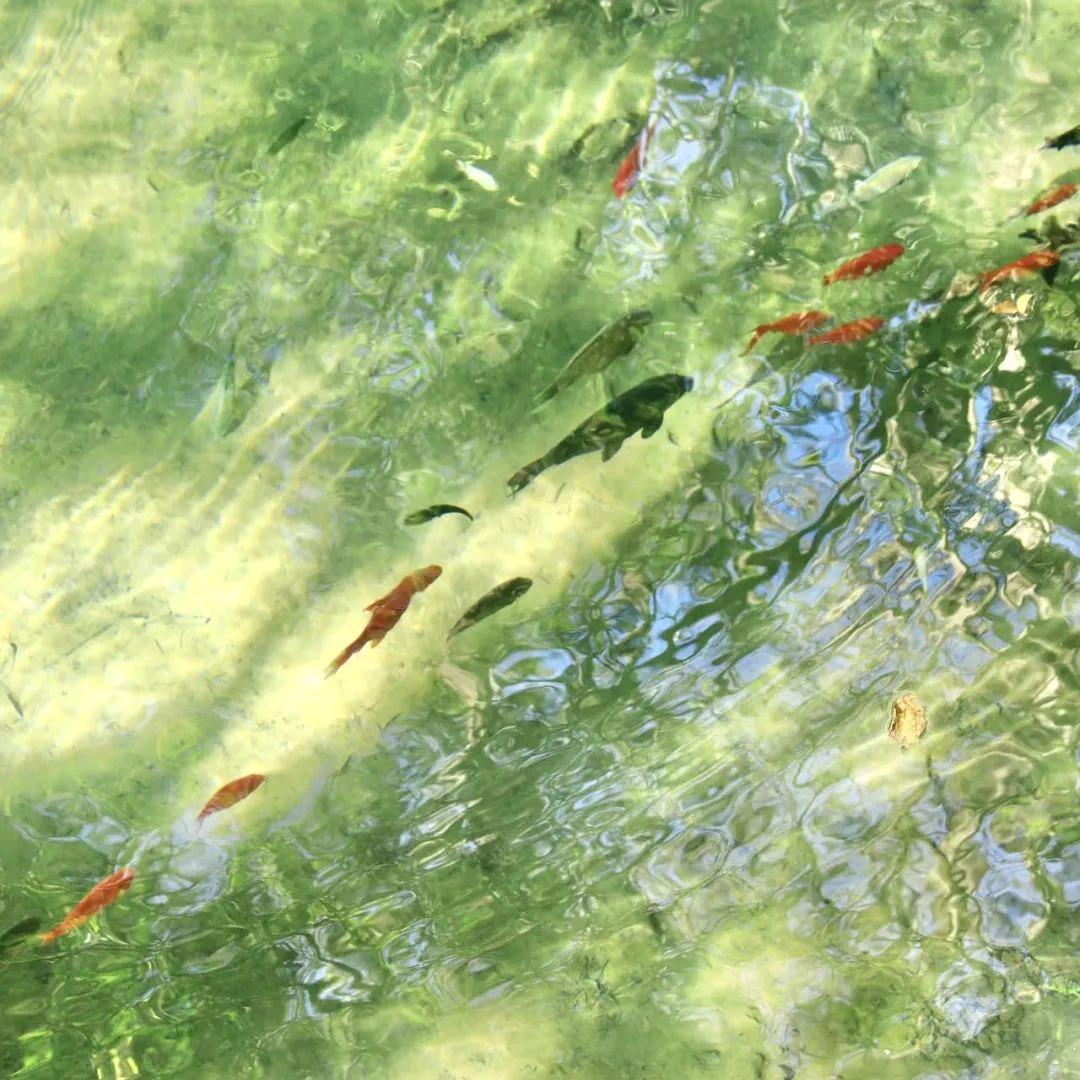 皆若空游无所依