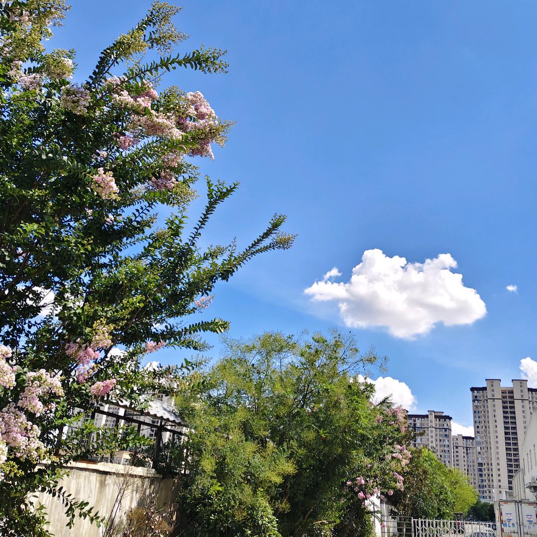 娟