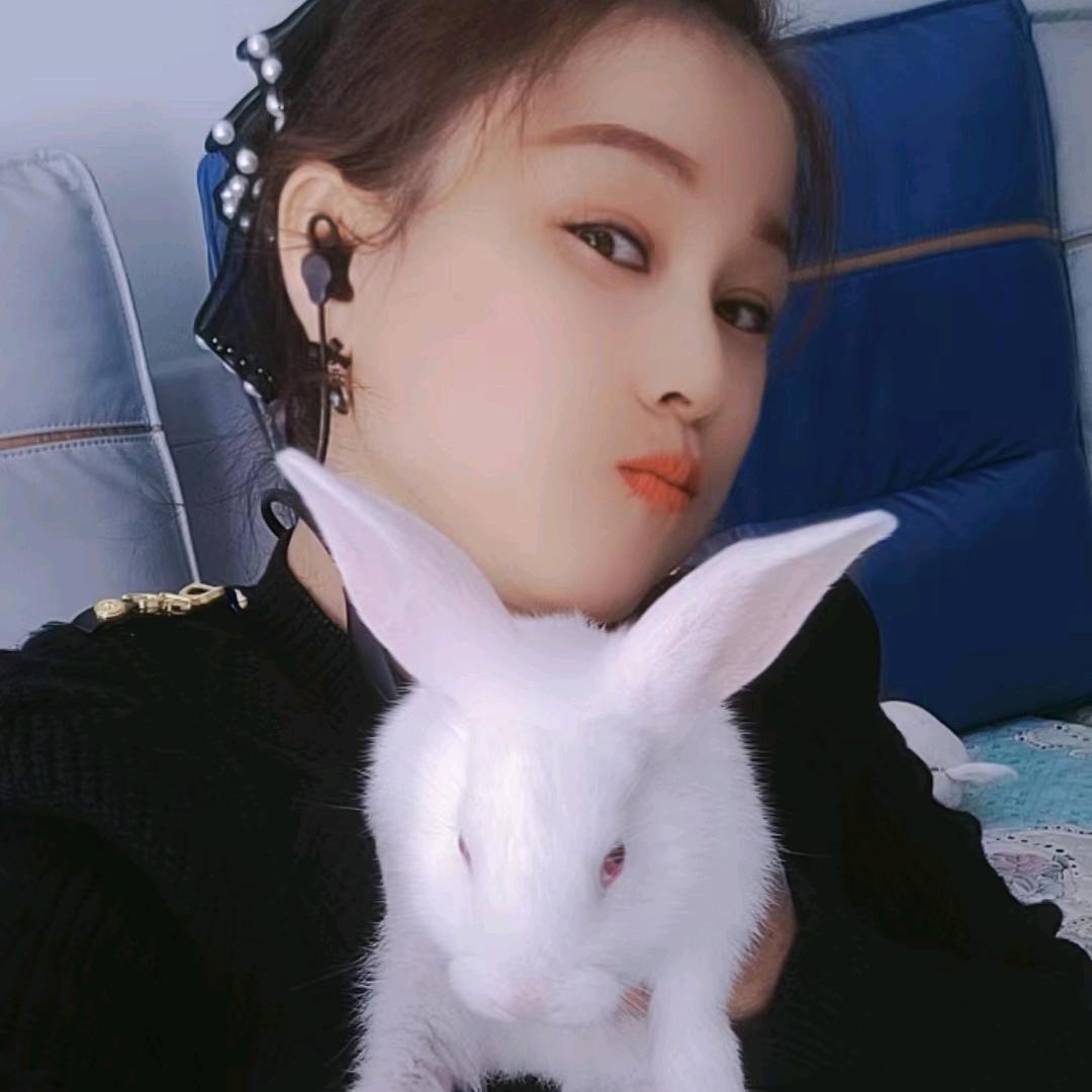 玉兔姐姐