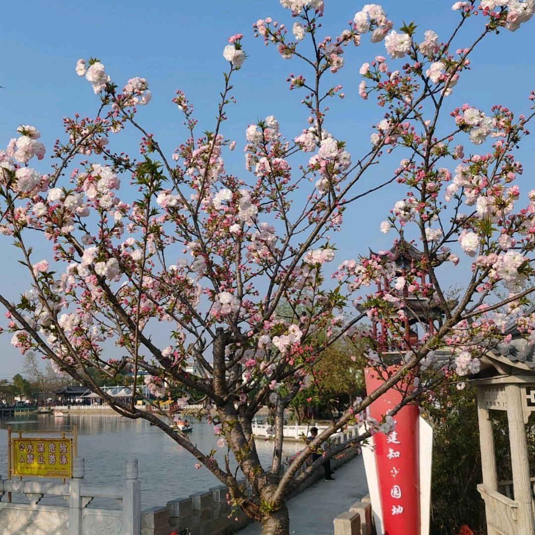 你是谁