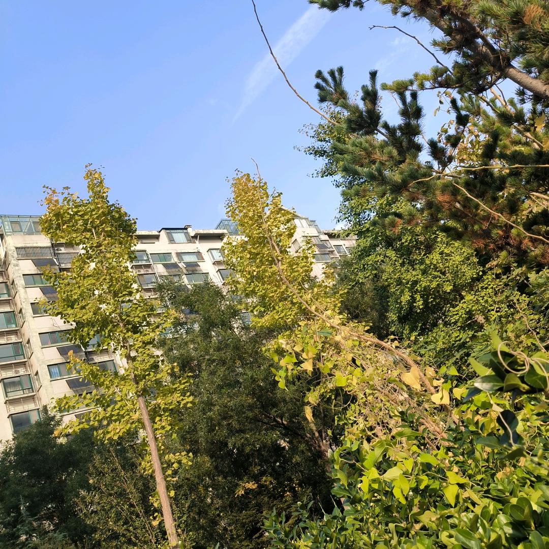 🇨🇳余生幸福