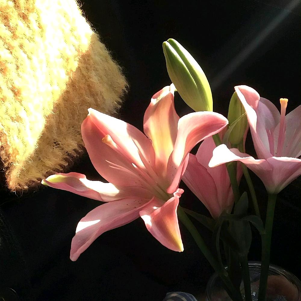 科研学术指导