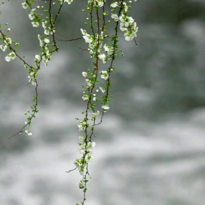 小梦