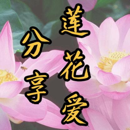 莲花爱分享