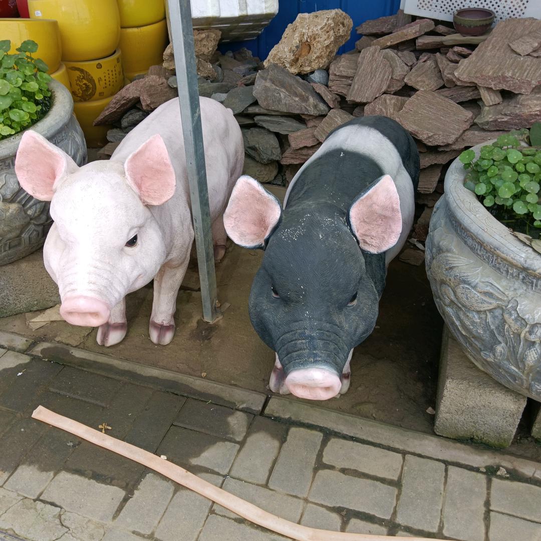 ༄ོྂཾ࿆༊࿆࿆ྂ࿐