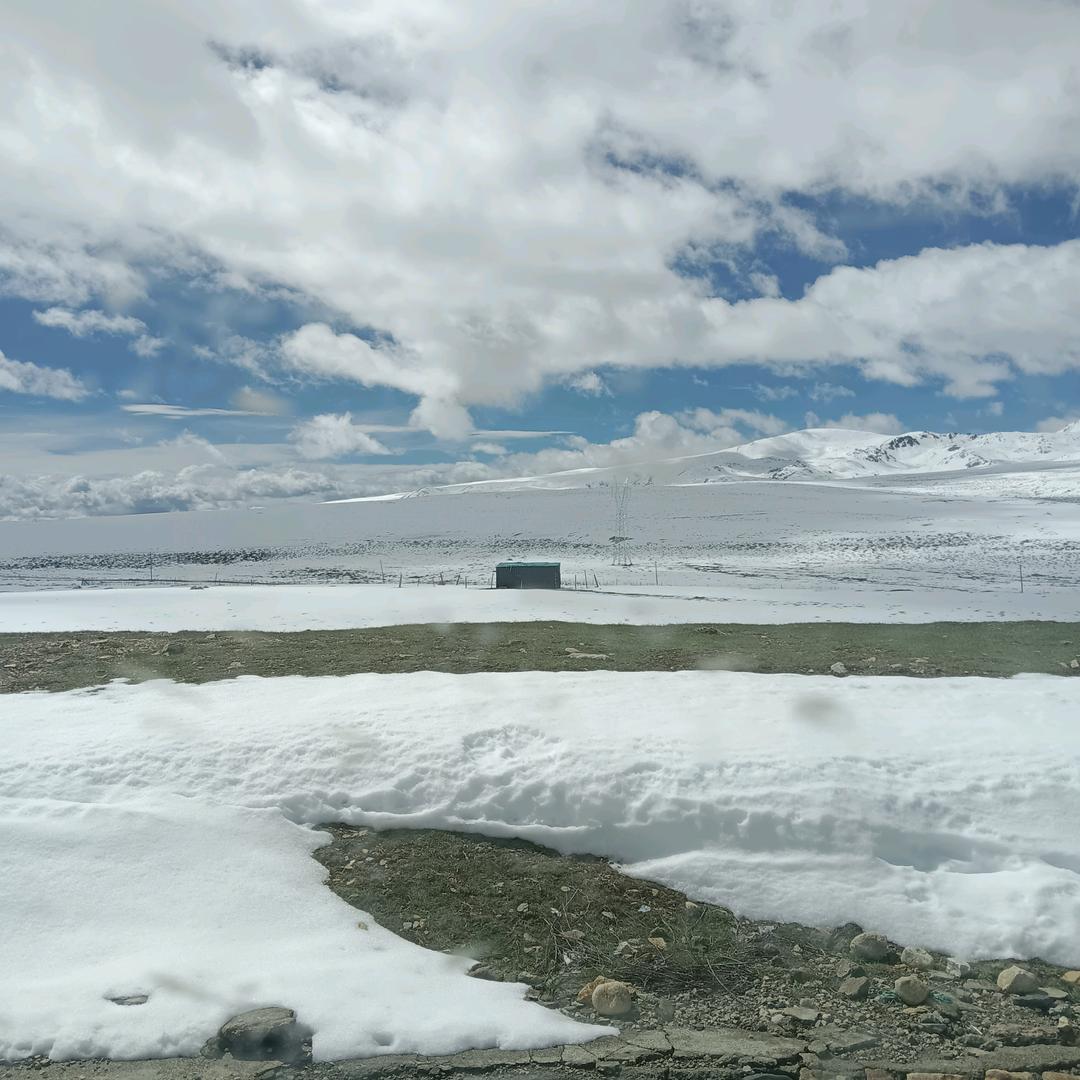 🌺🌸🌸🌺蔷微之恋🌼🌼🌸🌸