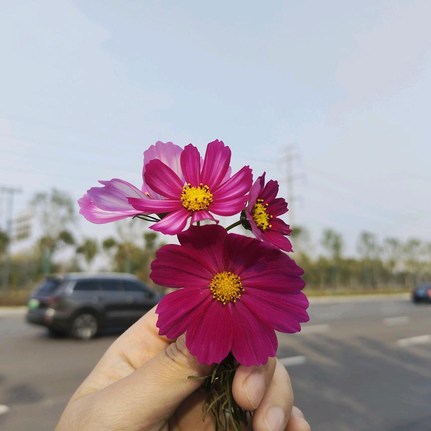 爱雅雅哎呀！8:40