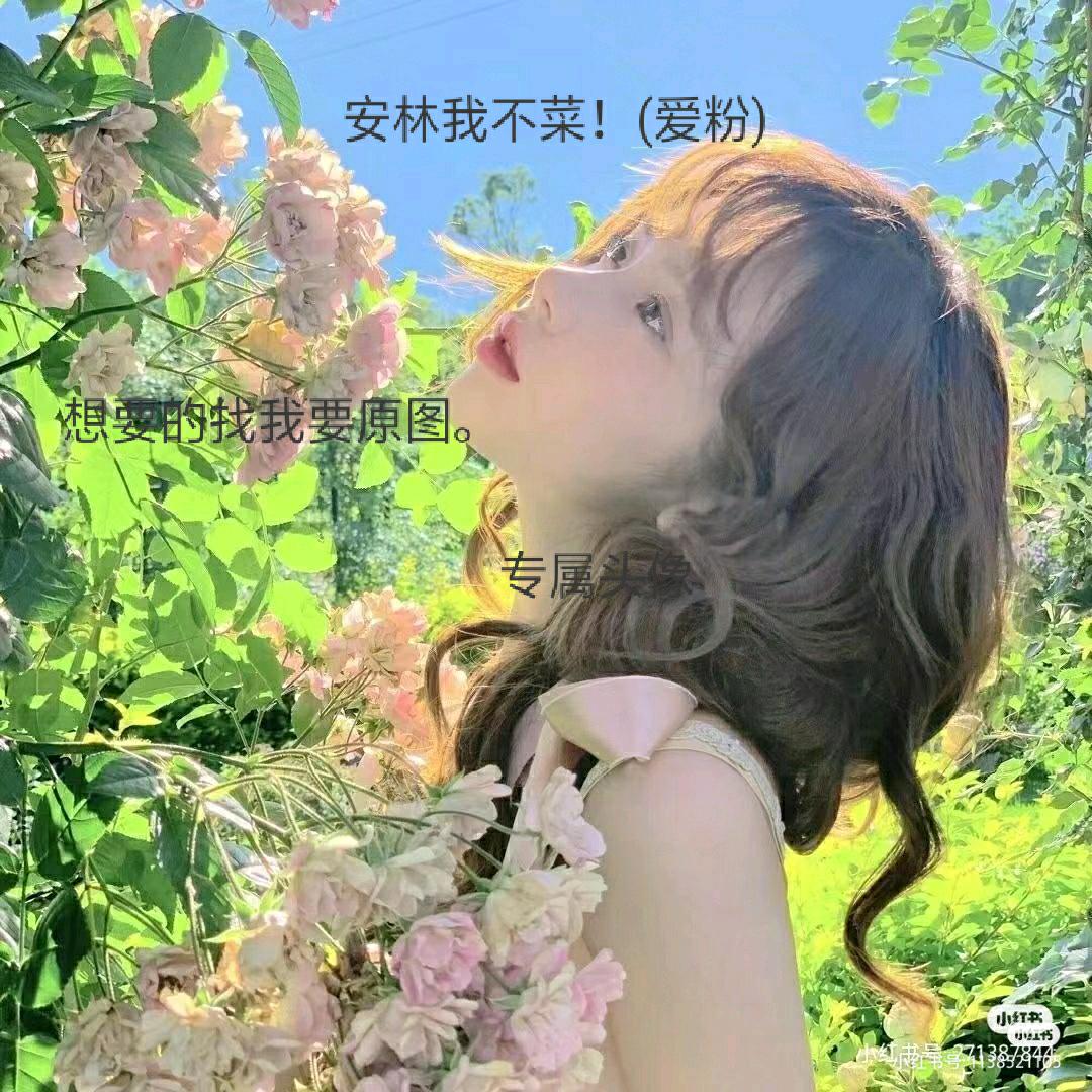 安林我不莱！(爱粉)