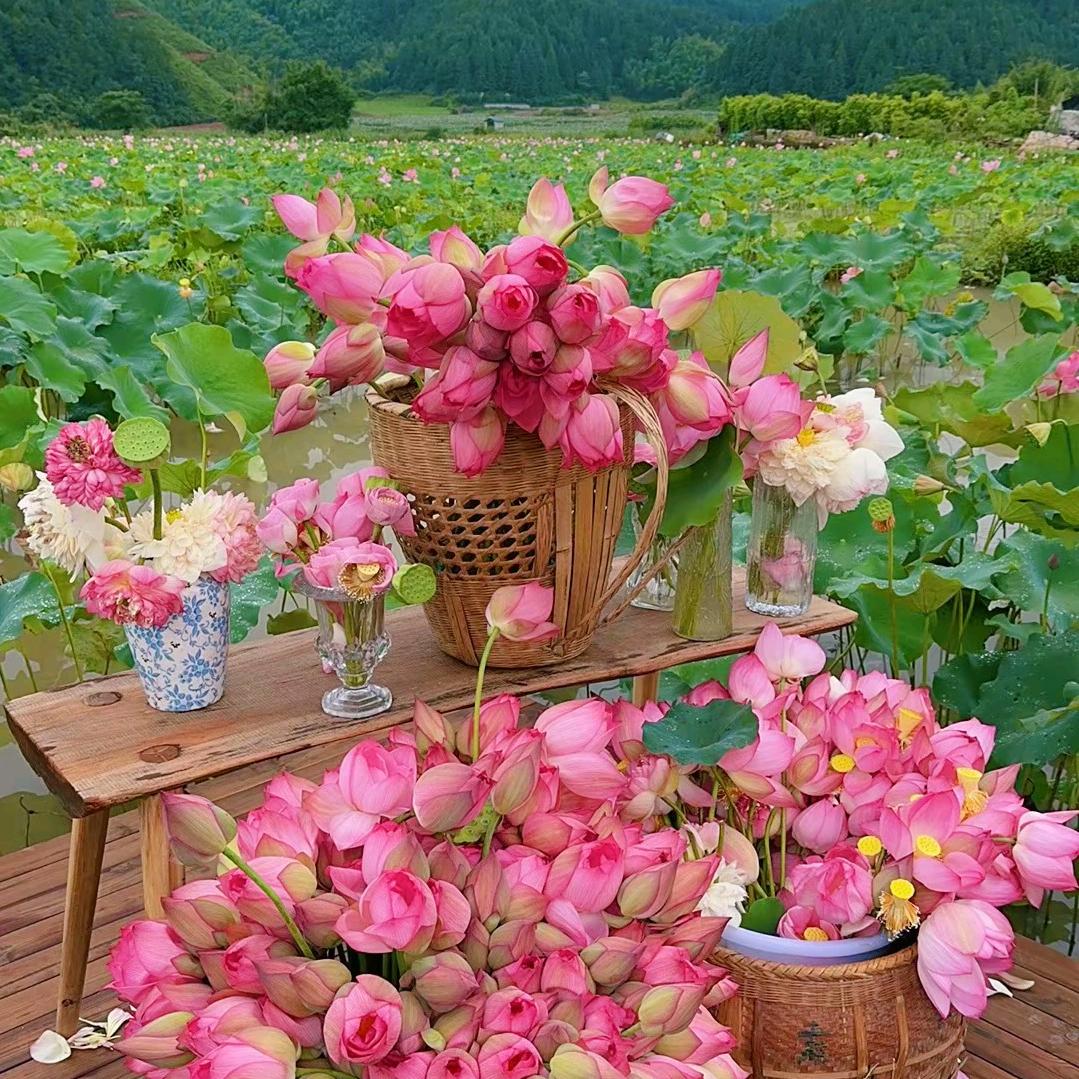 旺旺梦梦呀（有关必回））