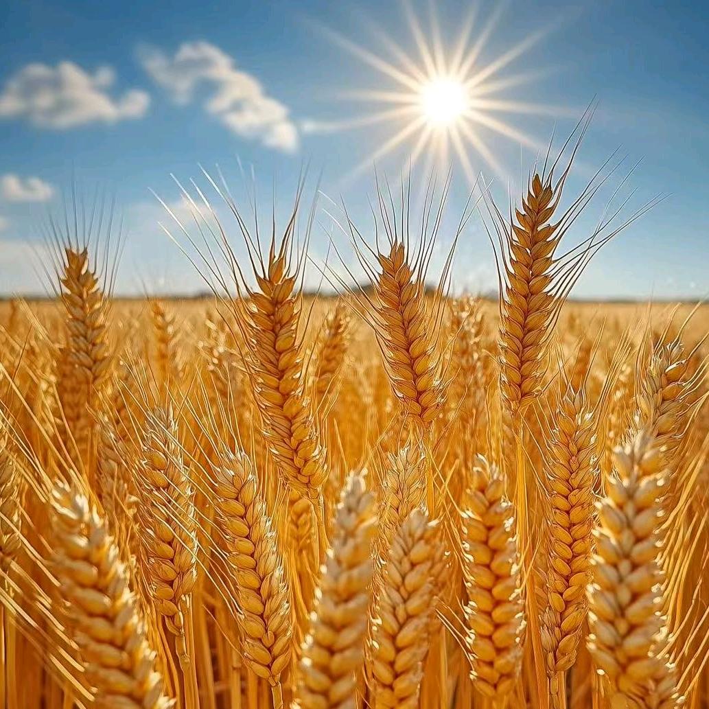 心宽财来（在贵州的江西人）