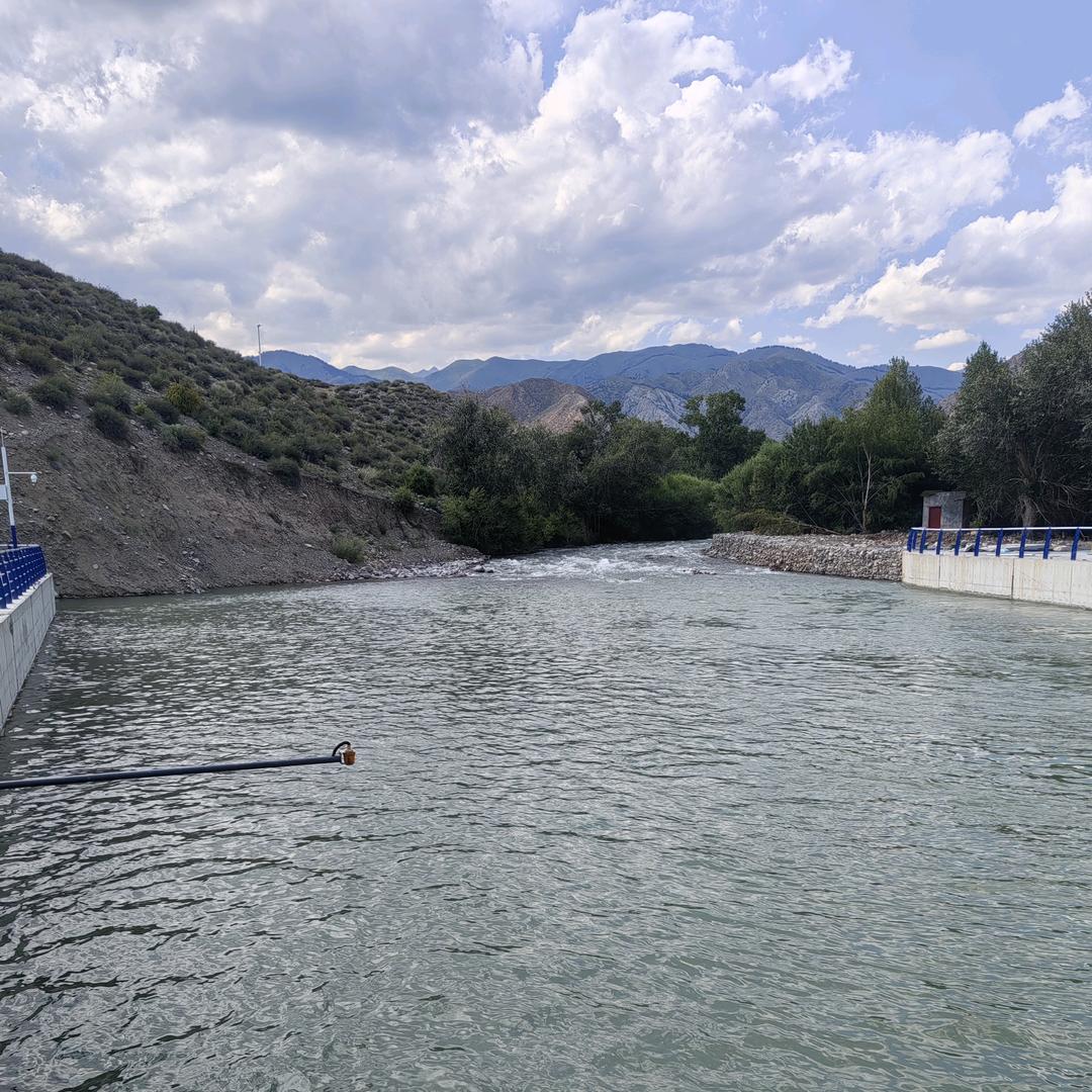 龙行天下（机械厂）