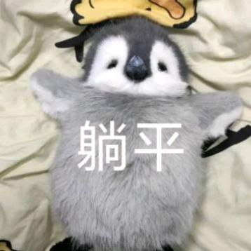 执²º²³❉₁₂.₃₁