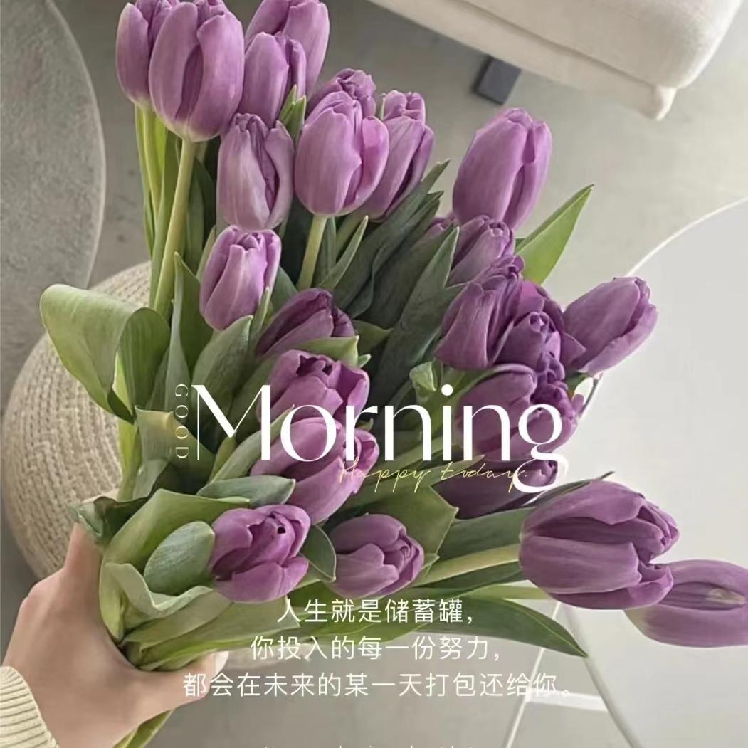yaᴗng_ᥫᩣ