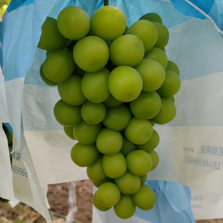 裕隆小赖