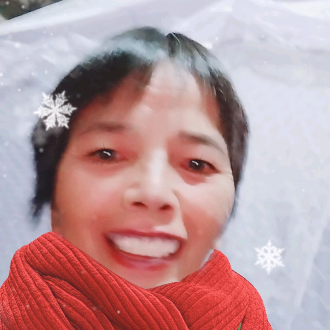 菊花香