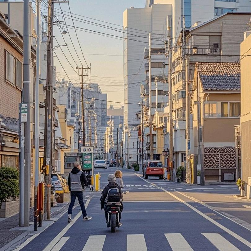 锯松居士