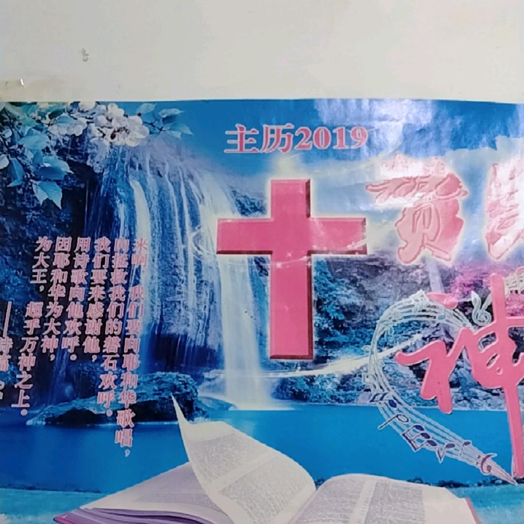 新人铁方直播