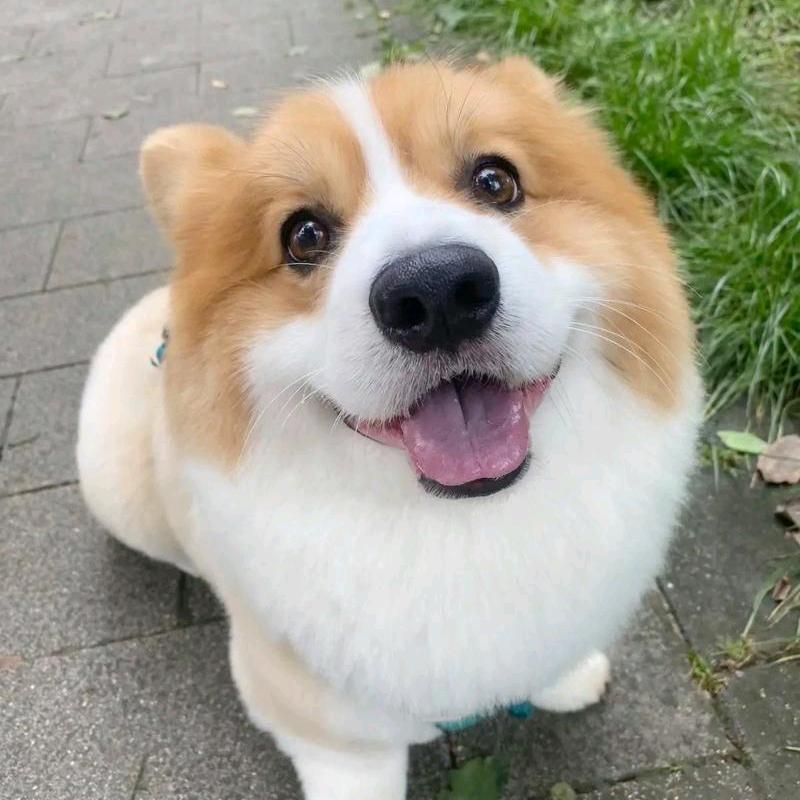 都不同