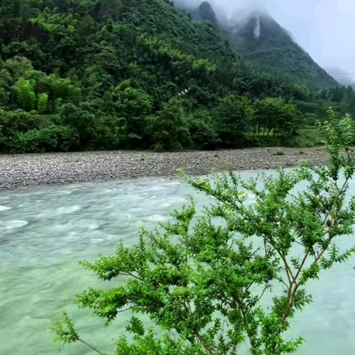 🌨与风
