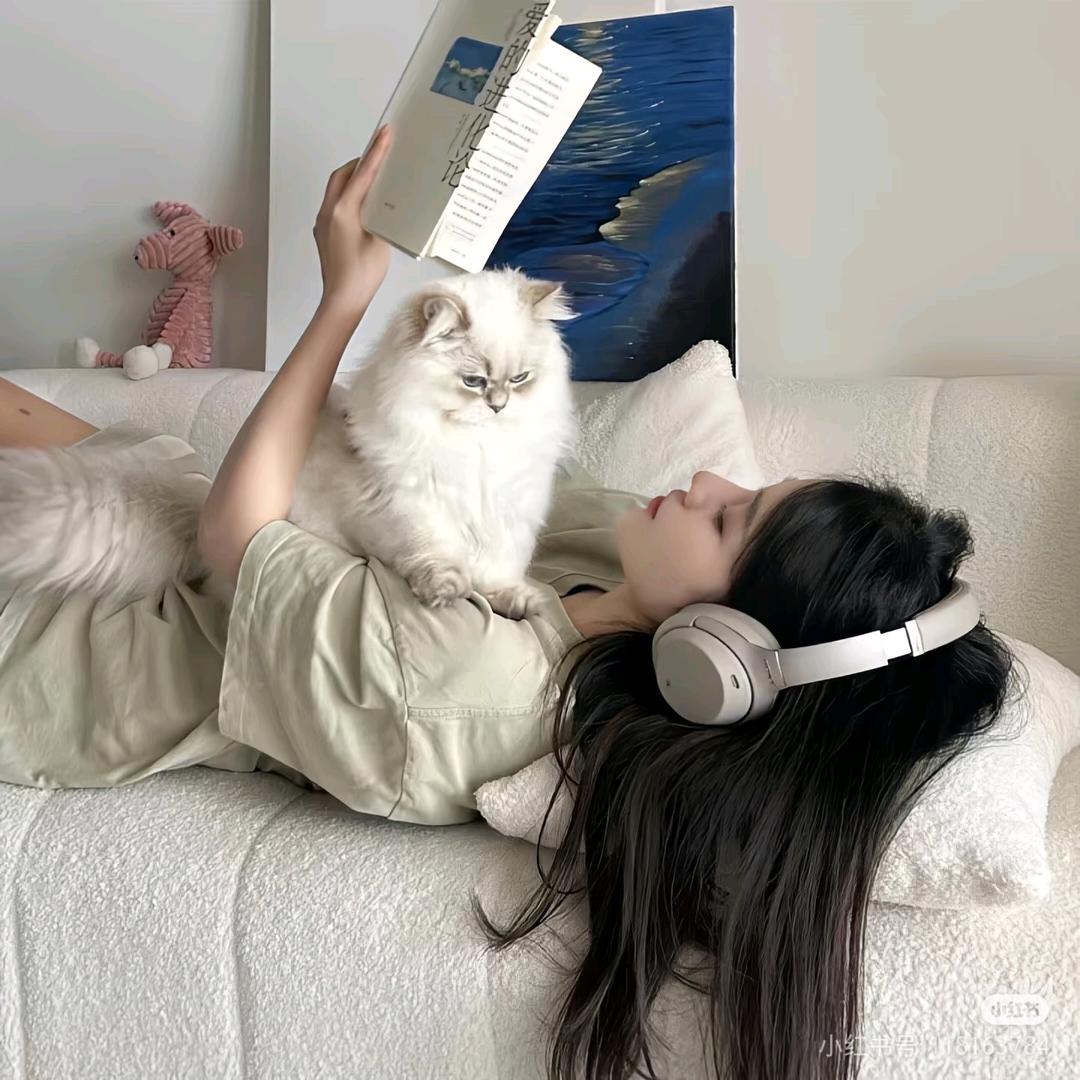 羊羊