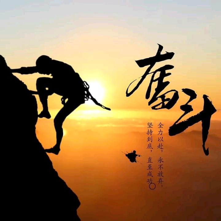 浵浵芭比开车车