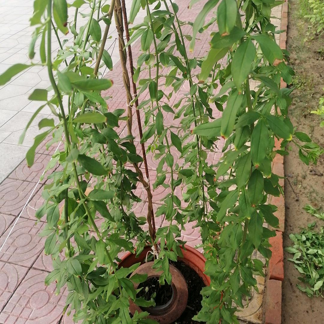 心烦