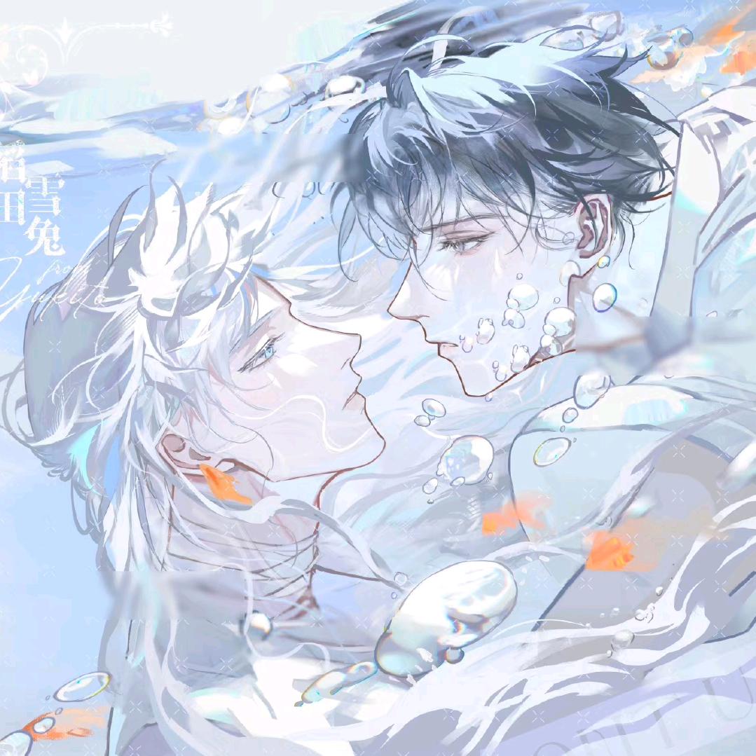 流浪马戏团💚⁹⁷⁸⁵