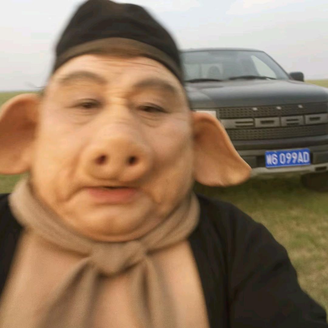 王者荣耀豪猪（猪八戒）