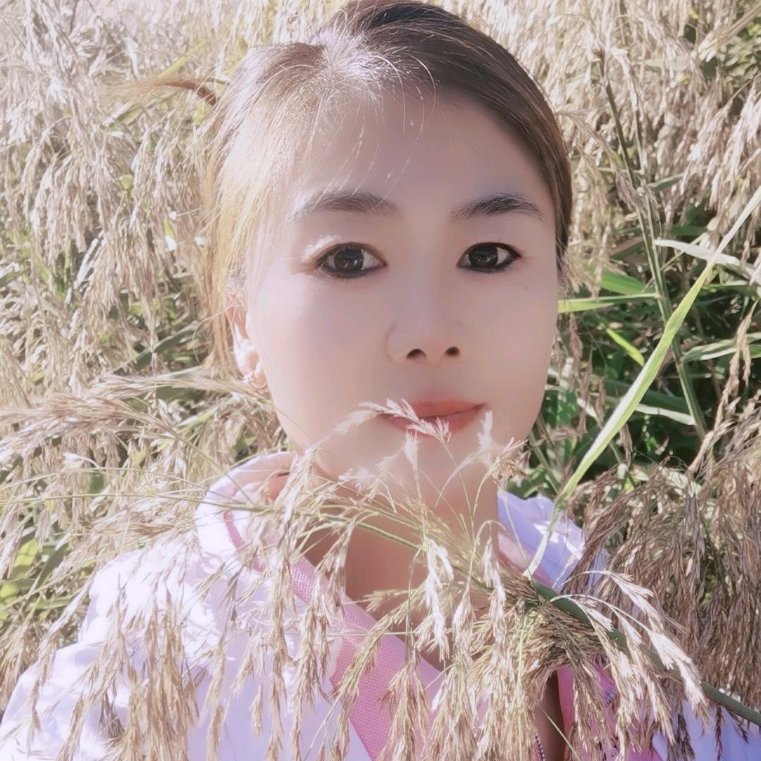 王淑红