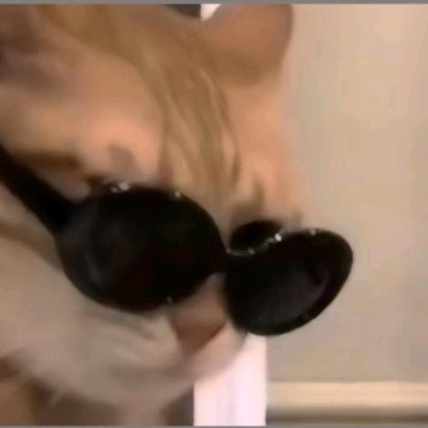 屿歌.