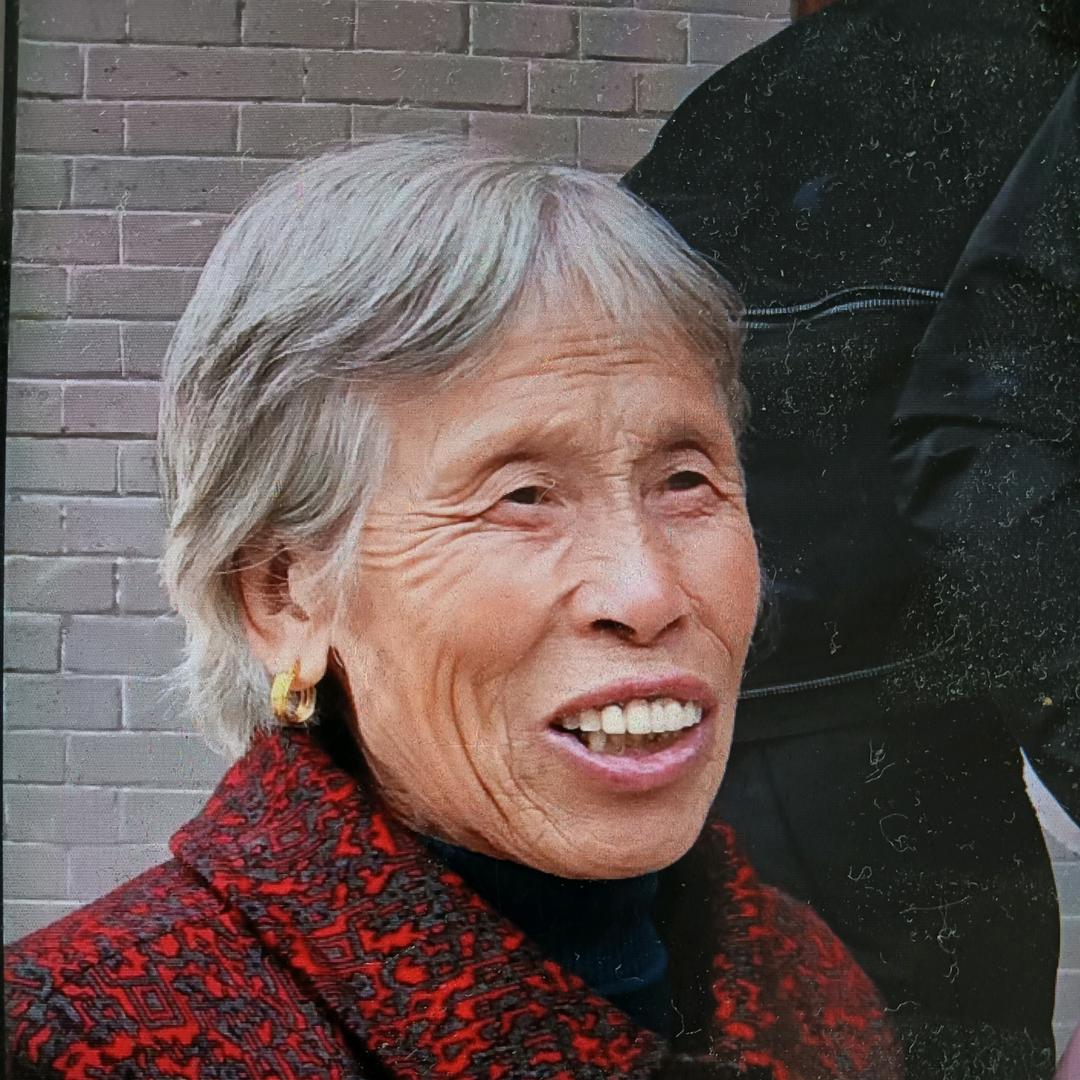 上朝奶奶