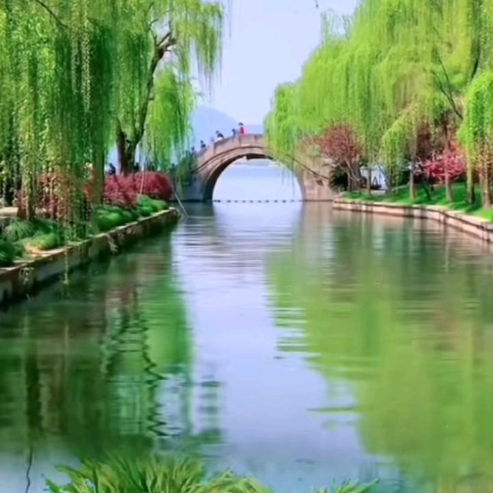 健康平安291
