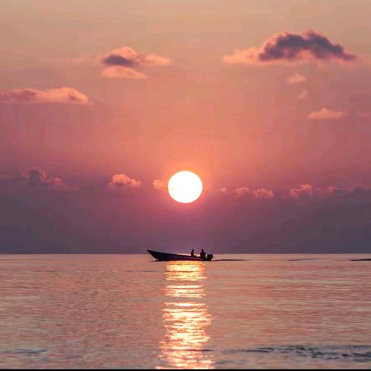 微山湖原生态水产批发