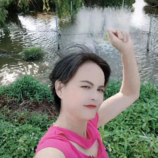 杨妹