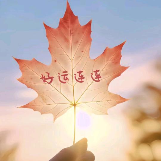 落叶