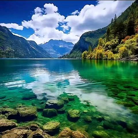 ꧁༺๑朱事༒顺利๑༻꧂