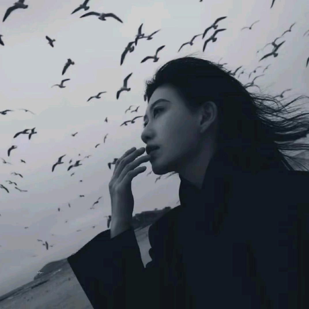 阿鸽.🥀