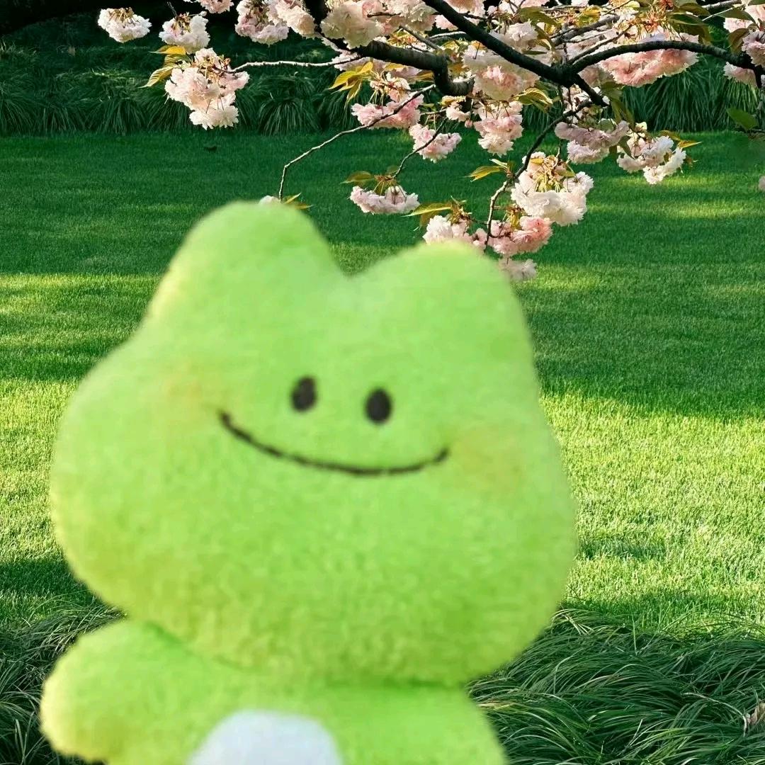 光头绿青蛙