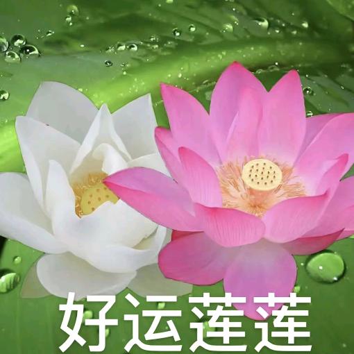 用户135867534
