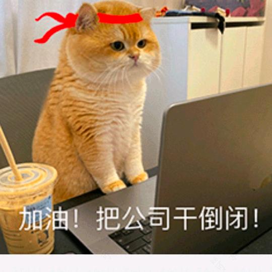 👐你养我大我啃你老♥