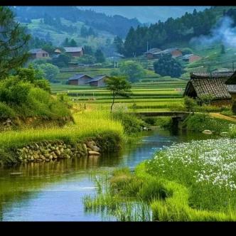 垚 鑫