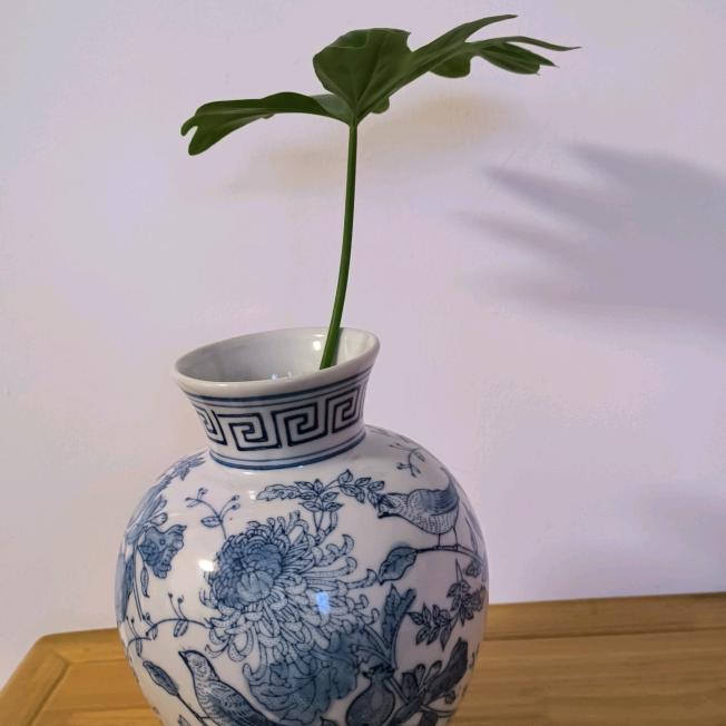 徐桂芳